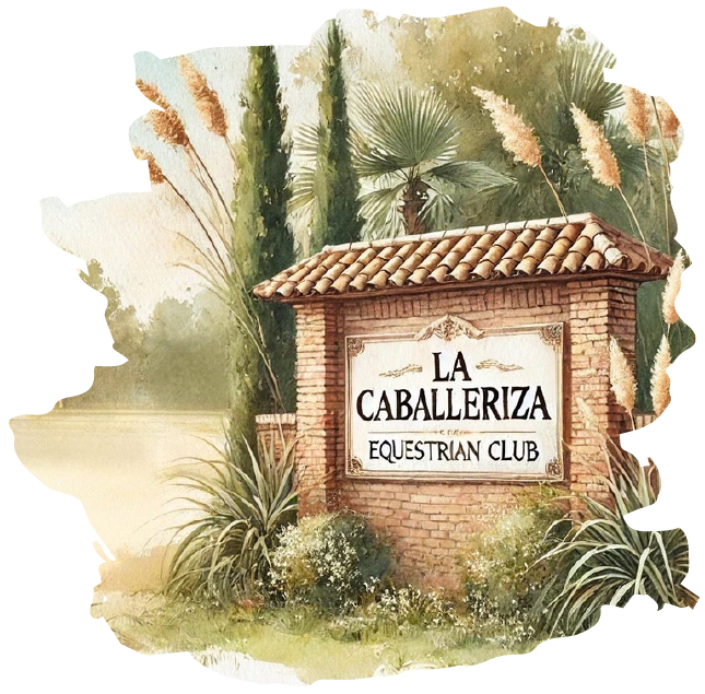 Imagen del lugar